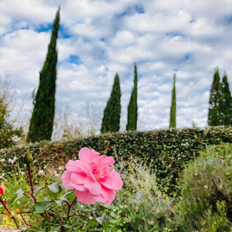 Podere La Chiusella B&B Rapolano Terme Exterior photo